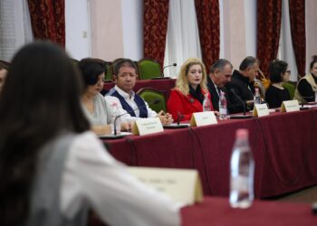 Dita Ndërkombëtare e Vullnetarizmit, Fondacioni H.M mori pjesë në tryezën e rrumbullakët “Bashkëpunimi dhe aktivizimi i ndërsjelltë deputet–publik”