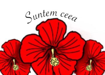 “Continuarea portalului de știri “arumun” și dezvoltarea postului de radio online”, un pas inante în pastrarea identității