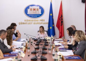 Kryetarja e Këshillit Kombëtar të Integrimit Europian Jorida Tabaku, takim ndërgjegjësues  me përfaqësues të shoqërisë civile