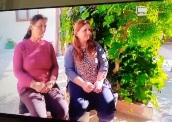 Activitatea Asociației „Fondacioni Harriet Martineau” în anul 2025