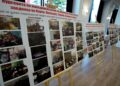 Preserving the Aromanian identity in Albania: Language, culture and historical legacy
